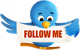 twitter-follow-enetworks